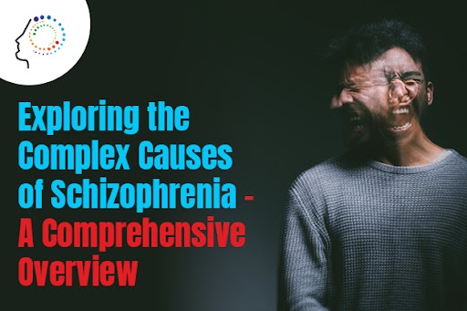 Exploring the Complex Causes of Schizophrenia – A Comprehensive Overview